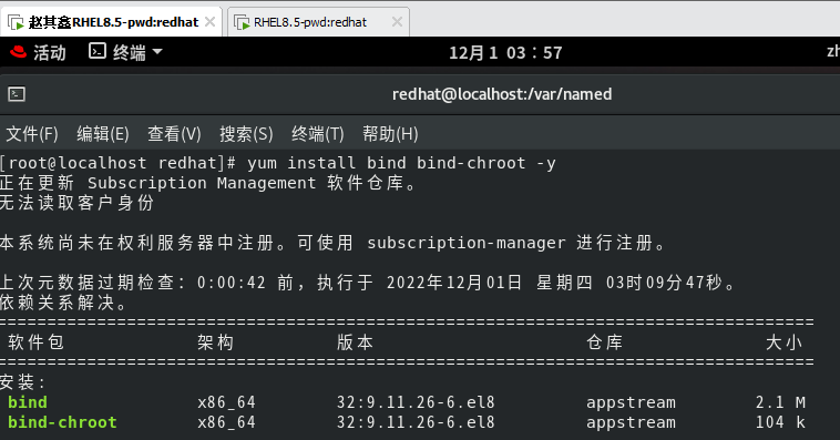 redhat8怎么配置DNS服务（DNS服务配置教程）