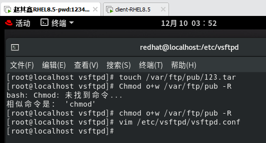 redhat8怎么配置FTP服务（FTP文件共享服务配置教程）
