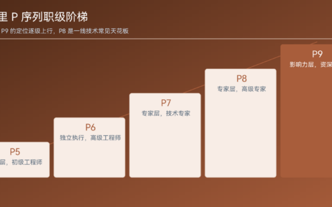 阿里 P8 是什么级别（详解职级定位与能力要求）