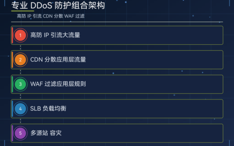 专业 DDoS 防护选型对比（高防 IP 与 SLB 清洗策略）